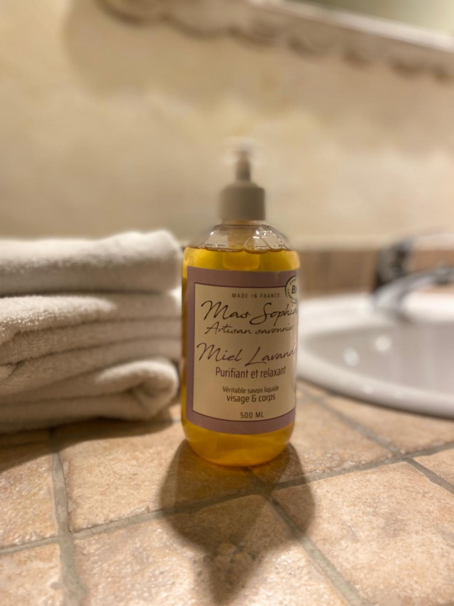 Logis Hotel Medieval, Montelimar Nord Rochemaure Bagian luar foto
